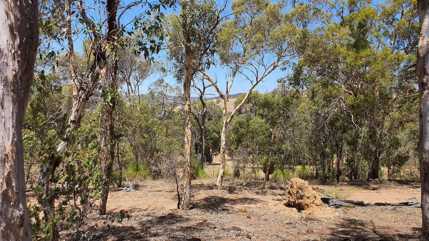 Main view of Homely land listing, L25 Heron Hill, Chittering WA 6084
