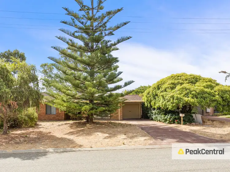 Main view of Homely house listing, 11 Grassbird Loop, Yangebup WA 6164