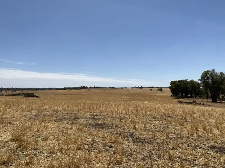 Fifth view of Homely rural property listing, Lot 4717 Magini Road, Kojonup WA 6395