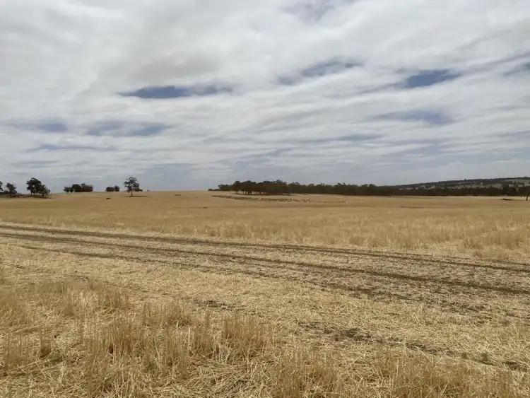 Seventh view of Homely rural property listing, Lot 4717 Magini Road, Kojonup WA 6395