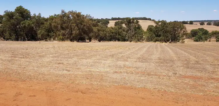 Second view of Homely land listing, Lot 113, Daviesia Way, Ginginup WA 6503