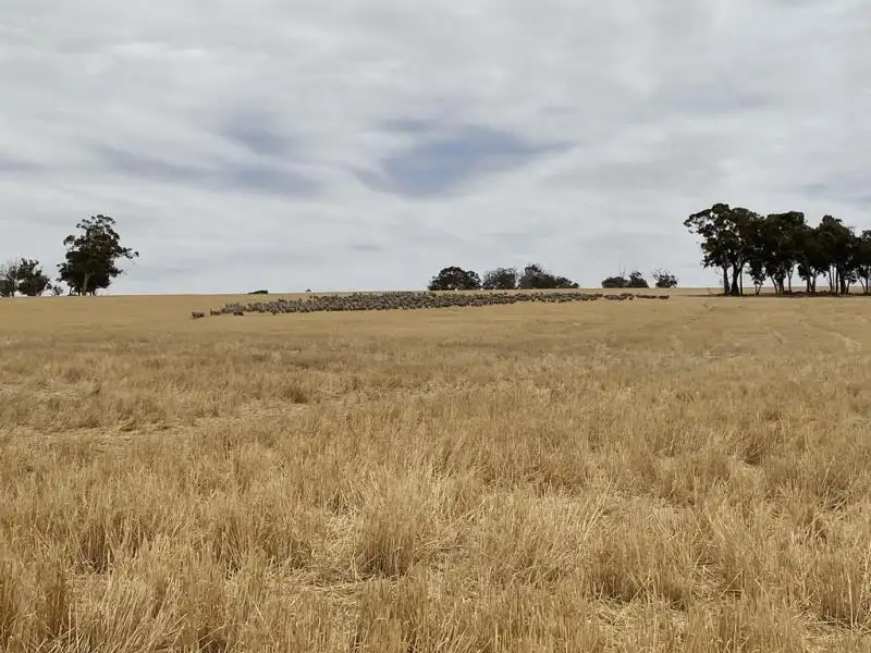 Main view of Homely rural property listing, Lot 4829 and 4830 Radcliffe Road, Kojonup WA 6395
