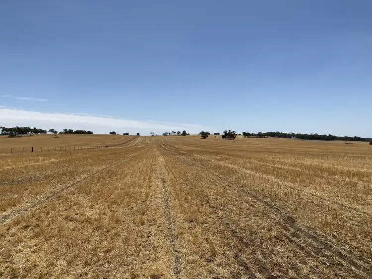 Fourth view of Homely rural property listing, Lot 4829 and 4830 Radcliffe Road, Kojonup WA 6395