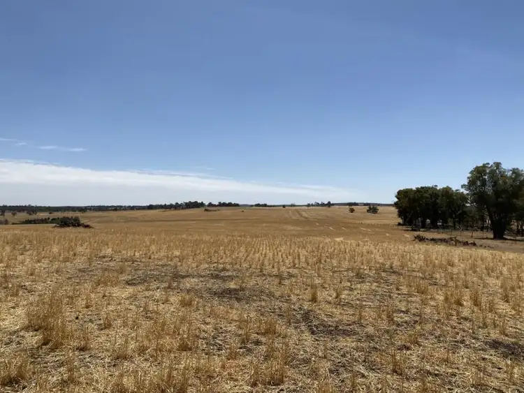 Fifth view of Homely rural property listing, Lot 4829 and 4830 Radcliffe Road, Kojonup WA 6395