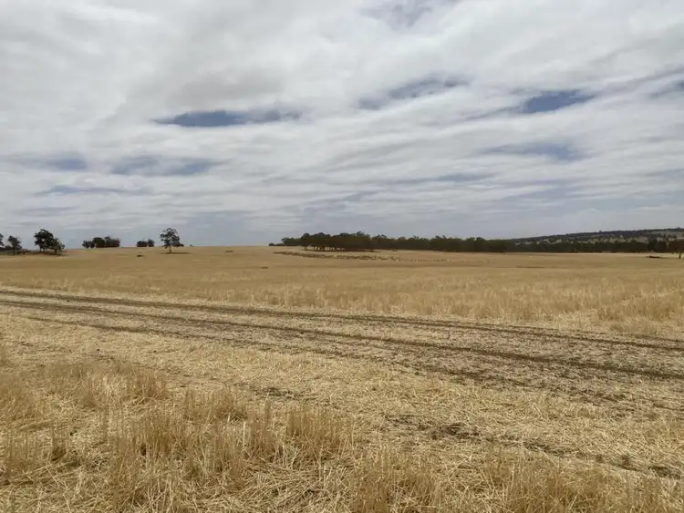 Seventh view of Homely rural property listing, Lot 4829 and 4830 Radcliffe Road, Kojonup WA 6395