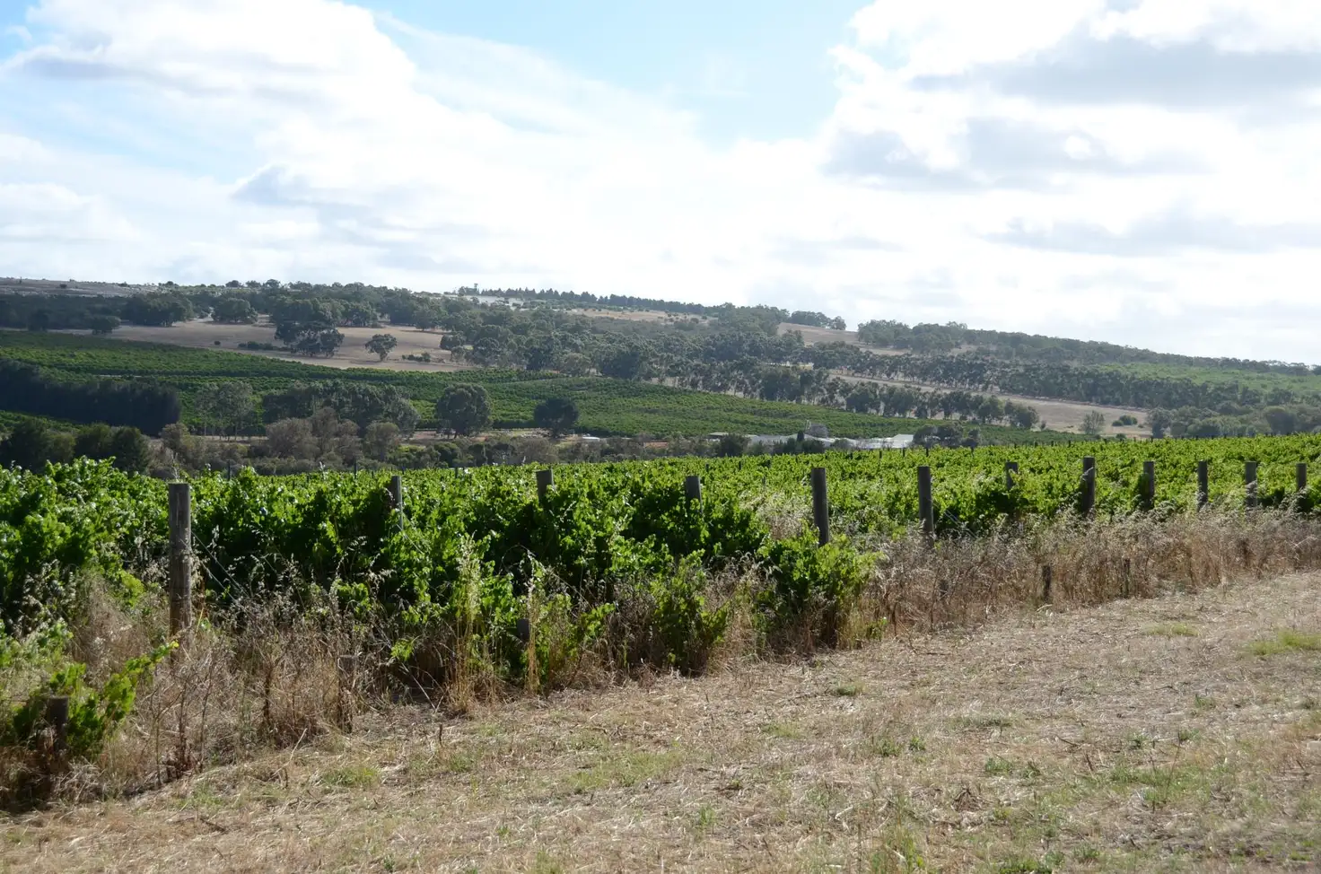 Main view of Homely rural property listing, 287 Lennards Road, Gingin WA 6503