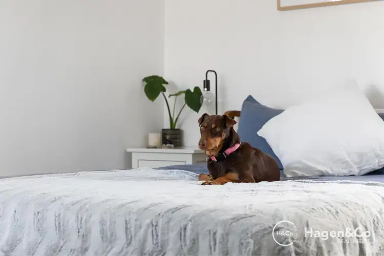 Second view of Homely house listing, 146 Wilding Street, Doubleview WA 6018