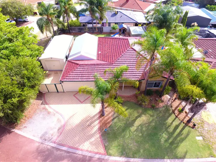 Main view of Homely house listing, 37 Percheron Entrance, Stratton WA 6056