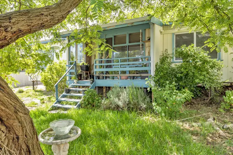 Main view of Homely house listing, 11 Ivanhoe Crescent, Falcon WA 6210
