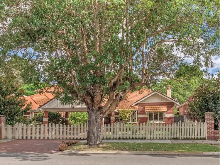 Main view of Homely house listing, 47 North Street, Mount Lawley WA 6050
