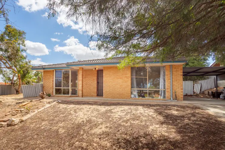 Third view of Homely house listing, 18 Mandarin Court, Craigie WA 6025