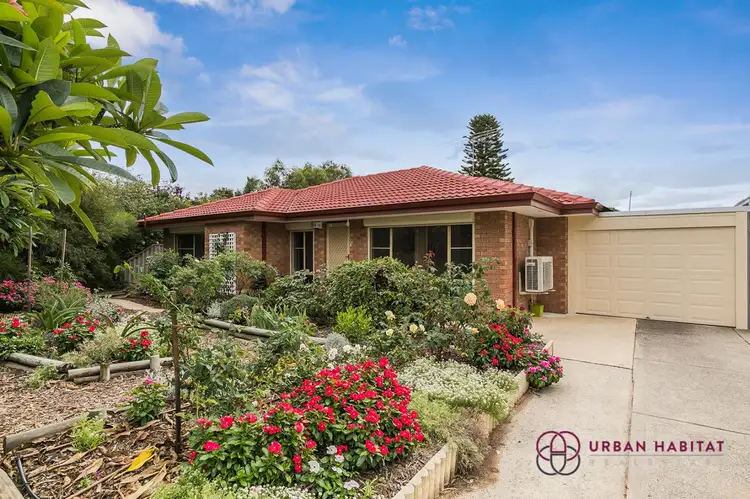 38 Simmons Loop, Parmelia WA 6167