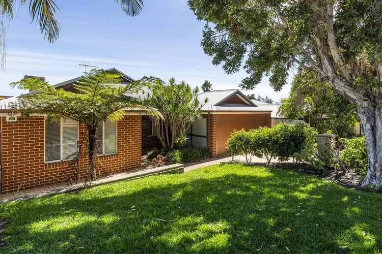 Second view of Homely house listing, 46 Senecio Lane, Beeliar WA 6164