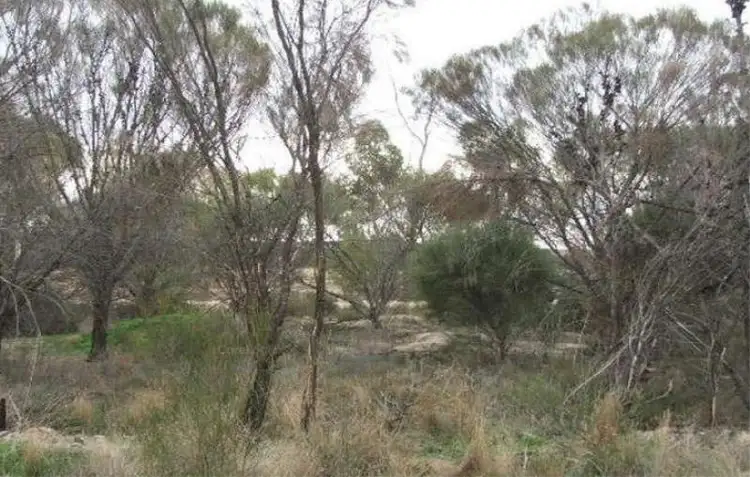 Second view of Homely land listing, Lot 15 King Street, Yelbeni WA 6487