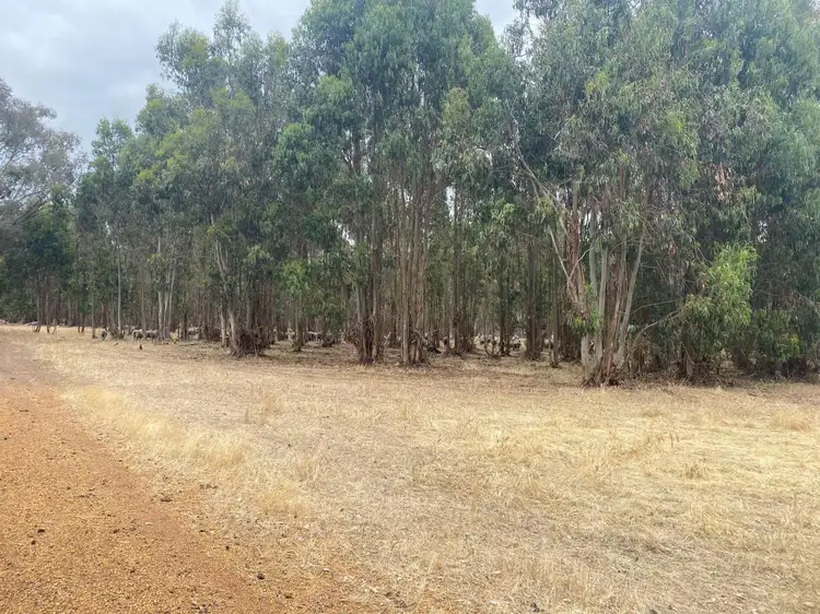 Third view of Homely rural property listing, 457 PARSONS SWAMP ROAD, Boyup Brook WA 6244