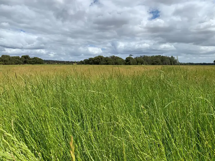 Main view of Homely rural property listing, Lot 284 Brilliant Road, The Plains WA 6237