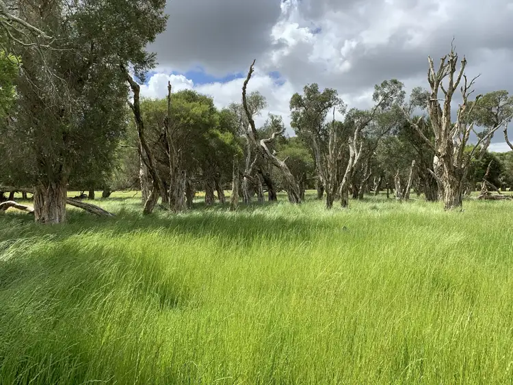 Second view of Homely rural property listing, Lot 284 Brilliant Road, The Plains WA 6237