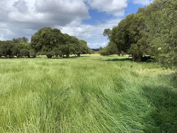 Sixth view of Homely rural property listing, Lot 284 Brilliant Road, The Plains WA 6237