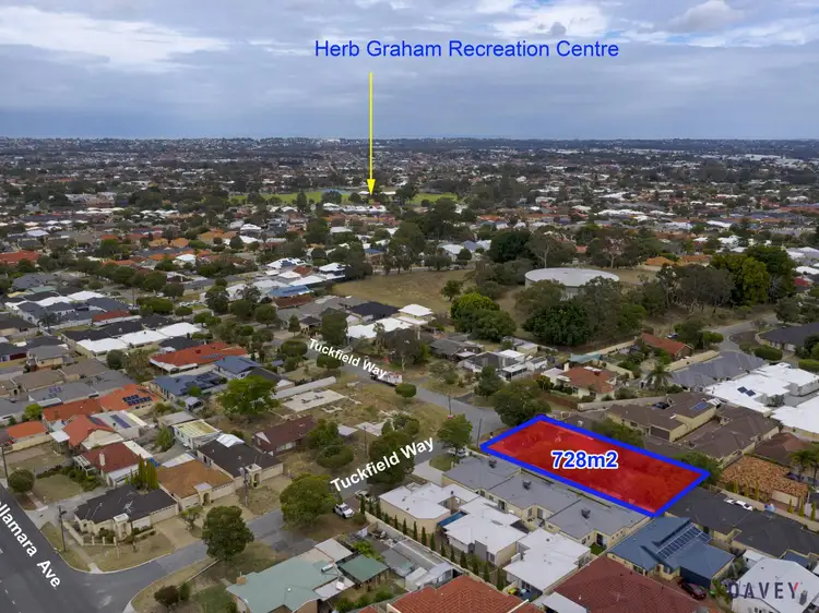 Main view of Homely house listing, 51 Tuckfield Way, Nollamara WA 6061