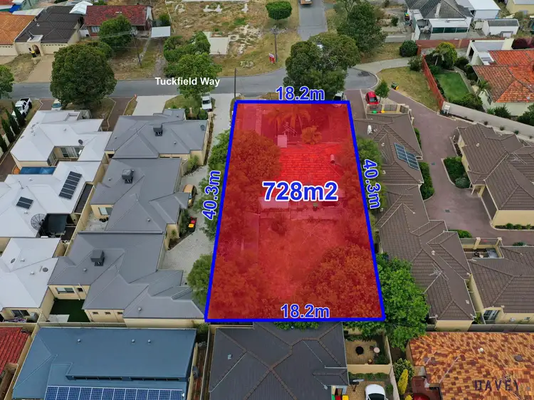 Second view of Homely house listing, 51 Tuckfield Way, Nollamara WA 6061