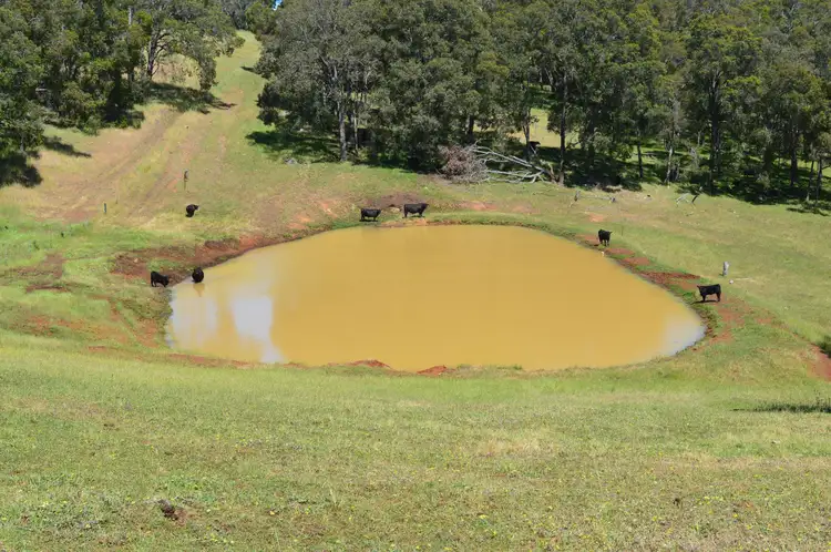 Third view of Homely rural property listing, Lot 196 Charley Creek Road, Thomson Brook WA 6239