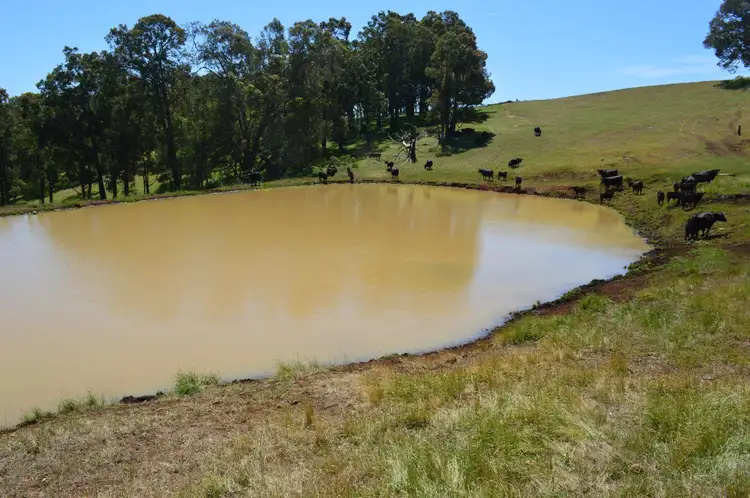 Fourth view of Homely rural property listing, Lot 196 Charley Creek Road, Thomson Brook WA 6239