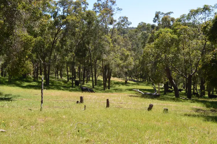 Fifth view of Homely rural property listing, Lot 196 Charley Creek Road, Thomson Brook WA 6239