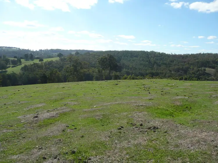 Sixth view of Homely rural property listing, Lot 196 Charley Creek Road, Thomson Brook WA 6239