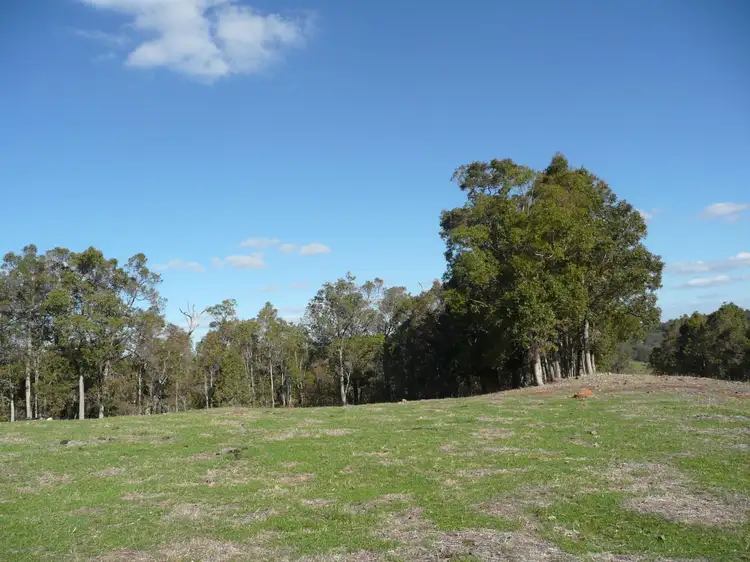 Seventh view of Homely rural property listing, Lot 196 Charley Creek Road, Thomson Brook WA 6239