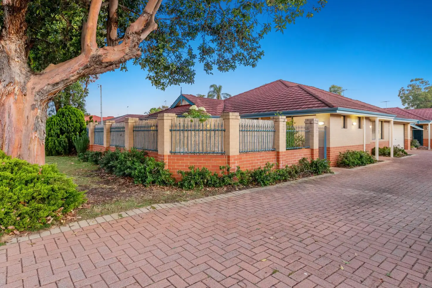 Main view of Homely villa listing, 62A Wandarrie Avenue, Yokine WA 6060