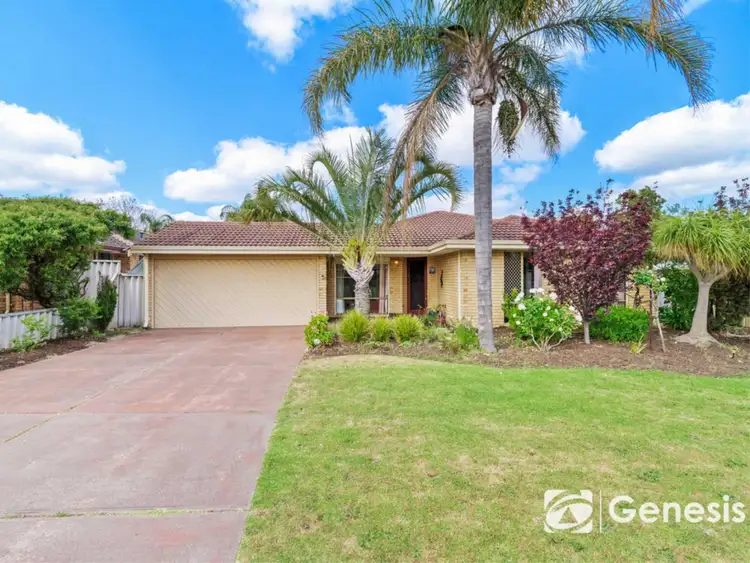 Main view of Homely house listing, 11 Argyll Close, Camillo WA 6111