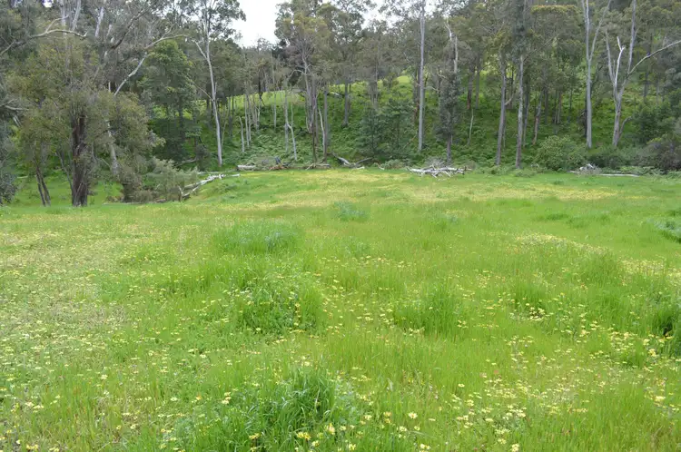 Second view of Homely rural property listing, 971 Charley Creek Road, Thomson Brook WA 6239