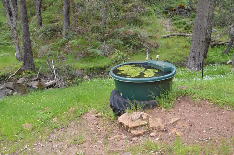 Fourth view of Homely rural property listing, 971 Charley Creek Road, Thomson Brook WA 6239