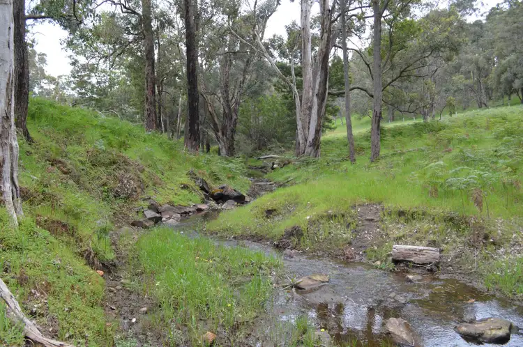 Fifth view of Homely rural property listing, 971 Charley Creek Road, Thomson Brook WA 6239