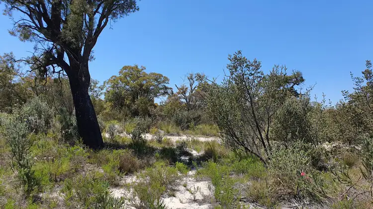 Second view of Homely land listing, 53 Sugar Gum Drive, Chittering WA 6084