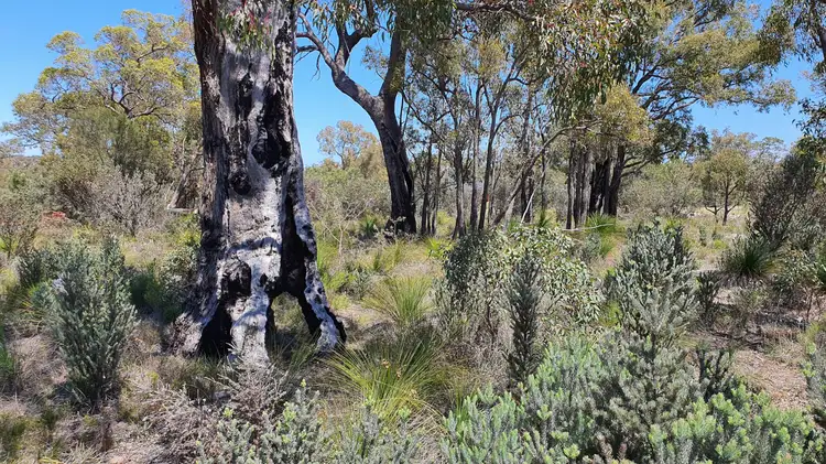 Fifth view of Homely land listing, 53 Sugar Gum Drive, Chittering WA 6084