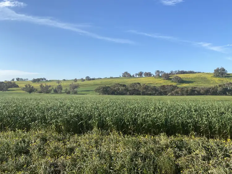 5035 Boyup Brook-Arthur River, Arthur River WA 6315