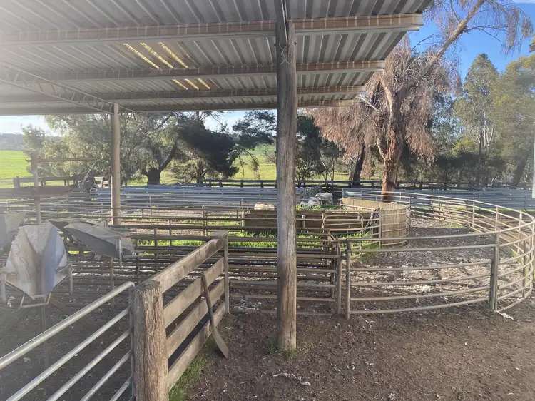 Sixth view of Homely rural property listing, 5035 Boyup Brook-Arthur River, Arthur River WA 6315