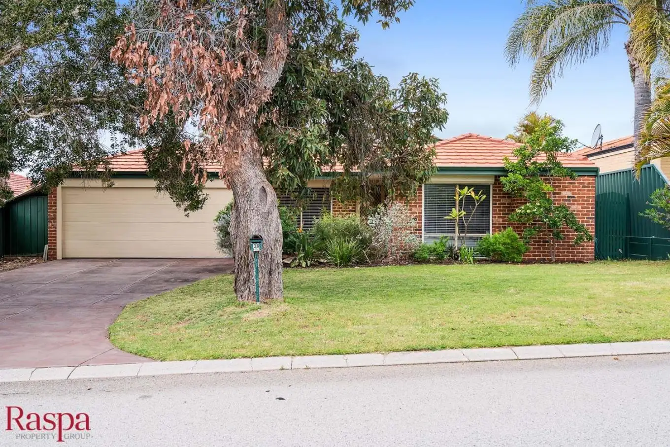 Main view of Homely house listing, 36 Drosera Loop, Beeliar WA 6164