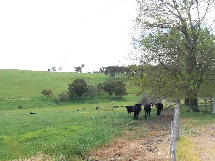 Sixth view of Homely rural property listing, 301 Ryall Road, Upper Capel WA 6239