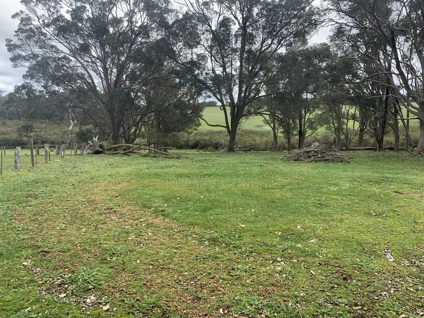 Main view of Homely rural property listing, Lot 2461 Cusack Road, Nillup WA 6288