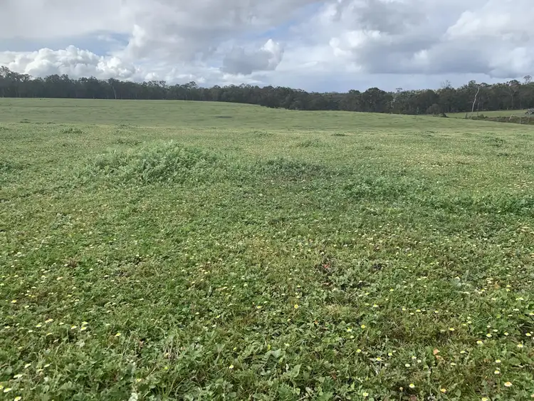 Sixth view of Homely rural property listing, Lot 2461 Cusack Road, Nillup WA 6288