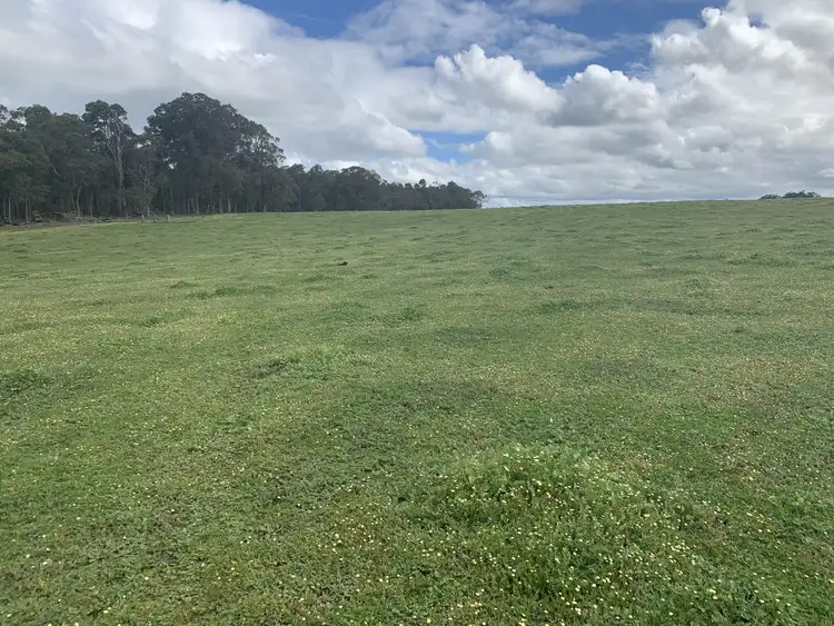 Seventh view of Homely rural property listing, Lot 2461 Cusack Road, Nillup WA 6288