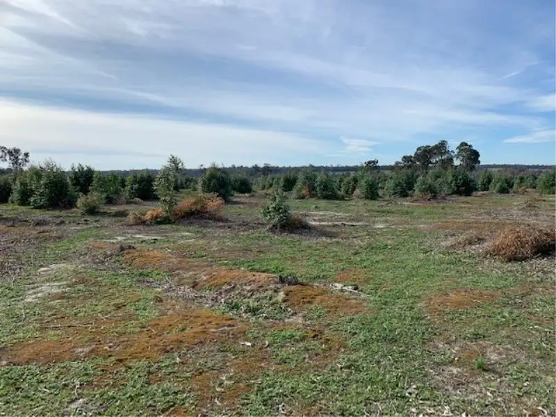 Main view of Homely rural property listing, Lots 10 and 11 Hart Road, Cardiff WA 6225