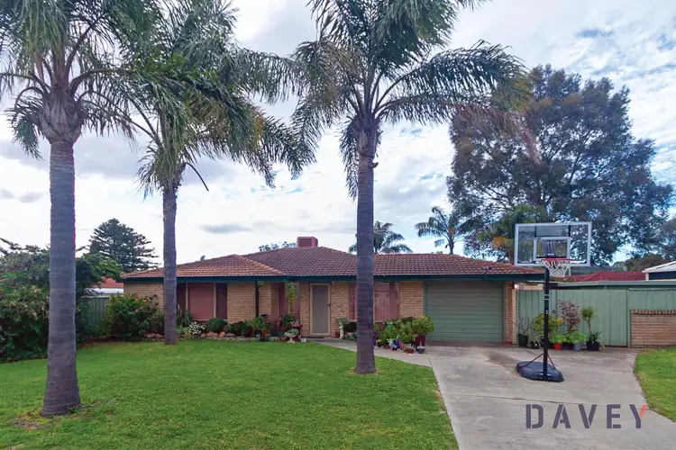 Main view of Homely house listing, 6 Kostas Close, Hocking WA 6065