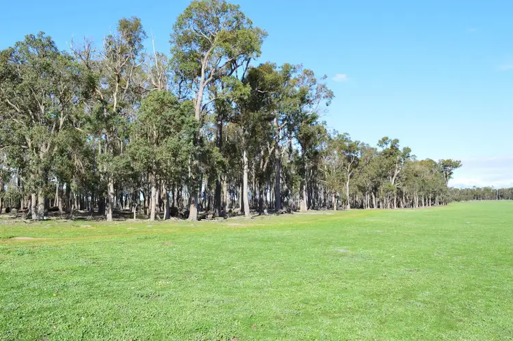 Sixth view of Homely rural property listing, 1279 Greenfields Road, Benjinup WA 6255