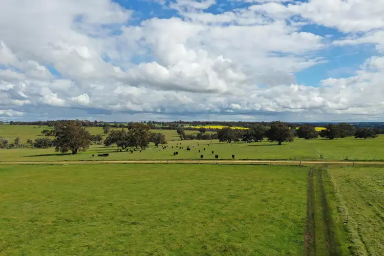 21915 ALBANY HIGHWAY, Kojonup WA 6395