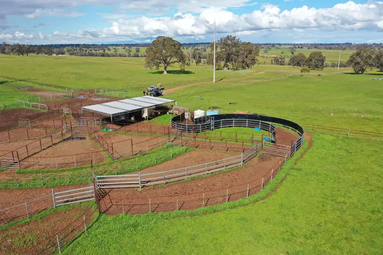 Second view of Homely rural property listing, 21915 ALBANY HIGHWAY, Kojonup WA 6395