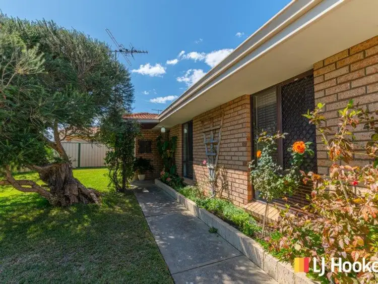 Second view of Homely house listing, 33 Forrest Grove, Two Rocks WA 6037