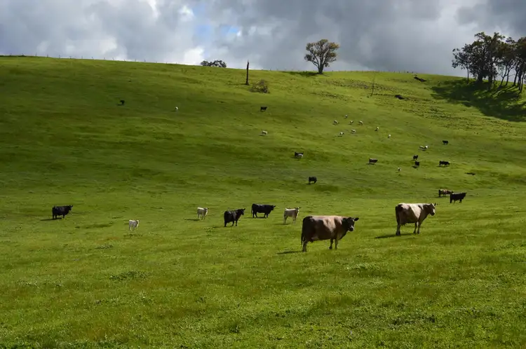 Fourth view of Homely rural property listing, Lot 3 NIEUWENHUYZE ROAD, Kirup WA 6251